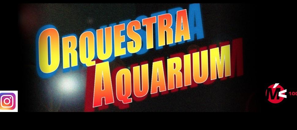 Imatge 2 de la galeria