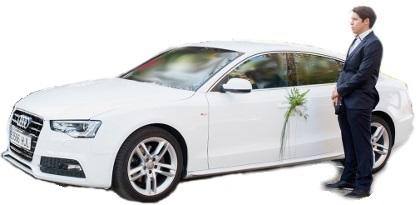 Imatge 6 de la galeria