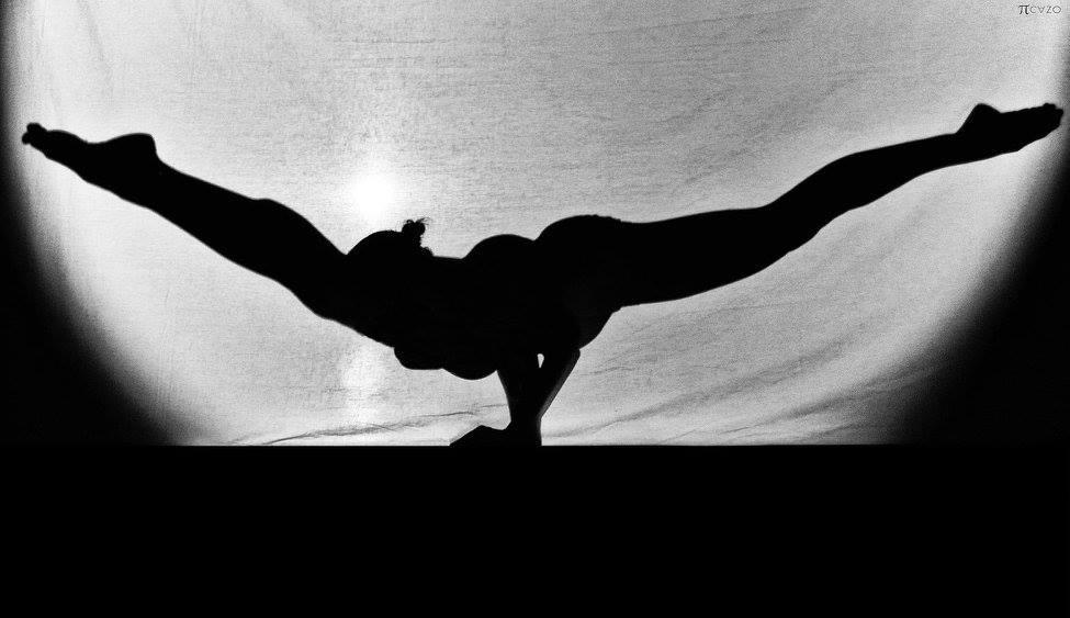 Imatge 2 de la galeria