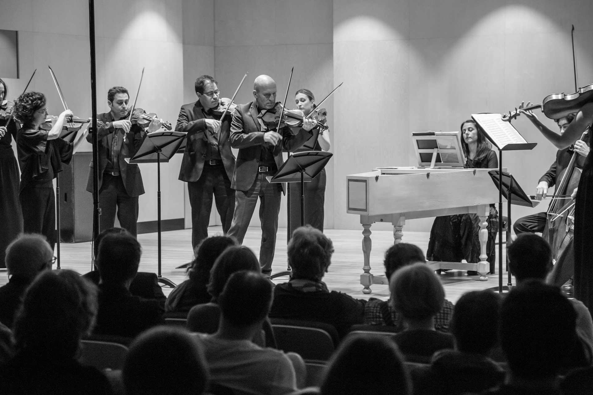 Imatge 1 de la galeria