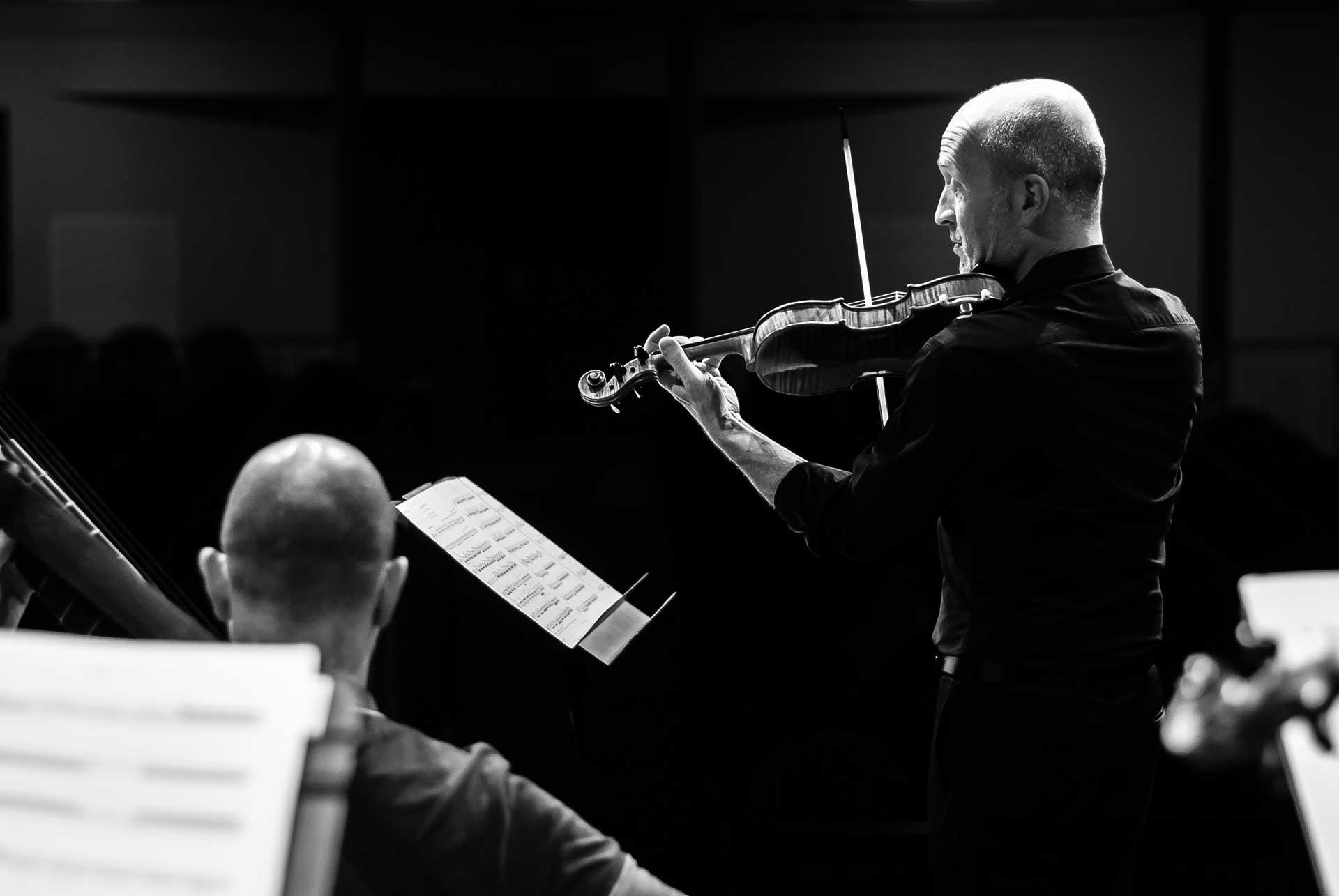 Imatge 5 de la galeria