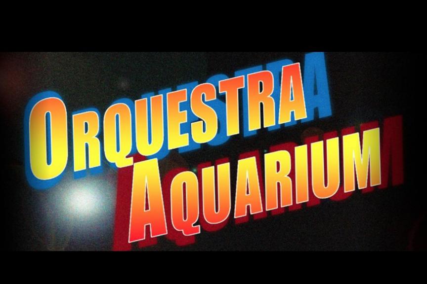 Imatge 4 de la galeria