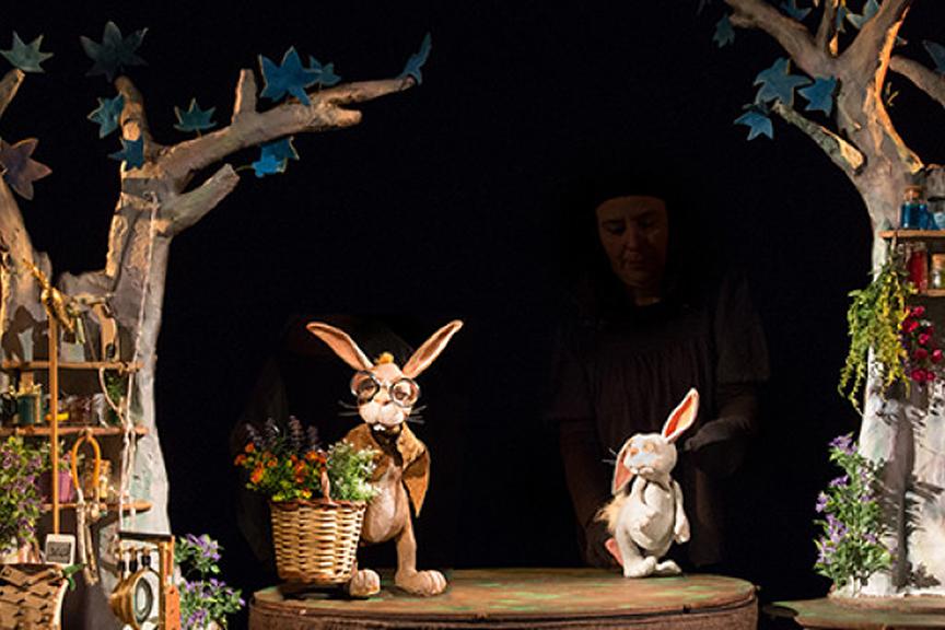 Imatge 1 de la galeria