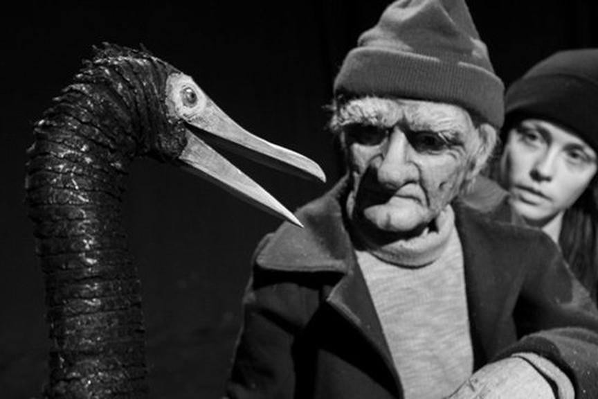 Imatge 1 de la galeria