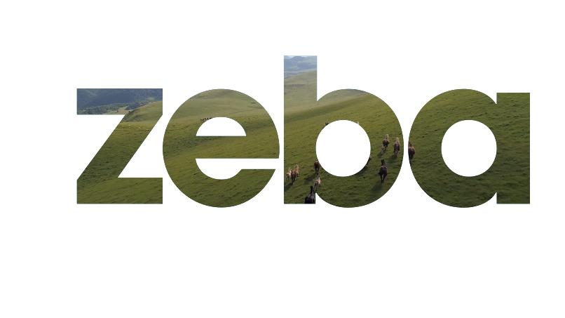 Imatge 1 de la galeria