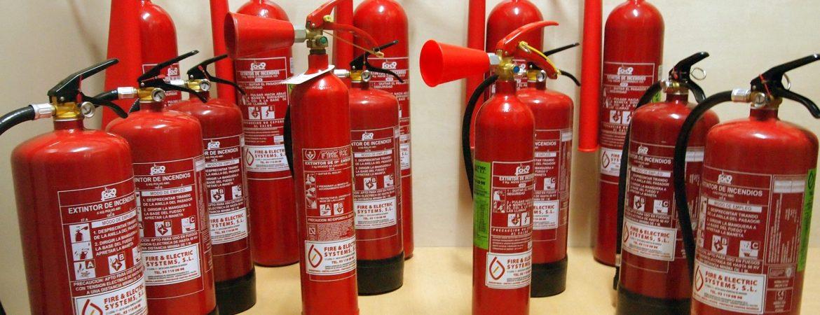 Imatge 1 de la galeria